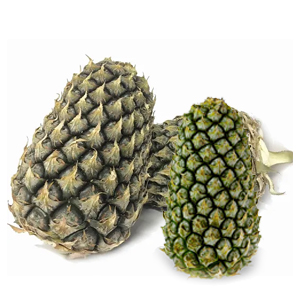 Special or larger varieties of pineapples